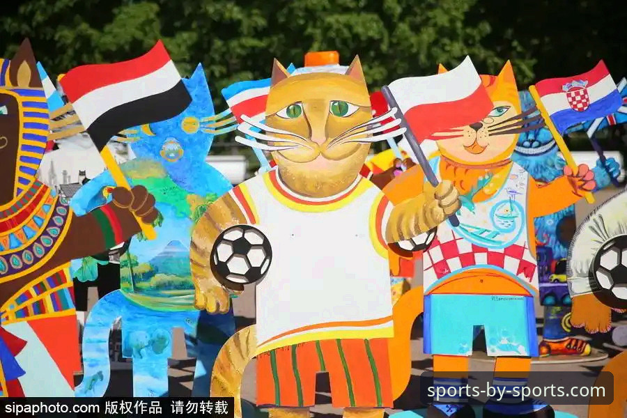 深度揭秘：捷克英雄舒尔茨的“猫咪世界杯”与by体育观赛新体验